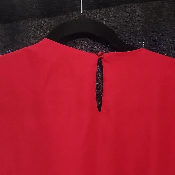 Elegant Red Dress - Picture 7 of 7